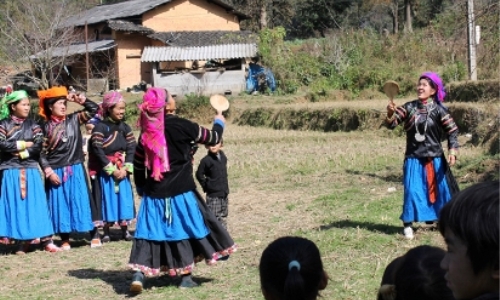 Đánh yến ngày xuân